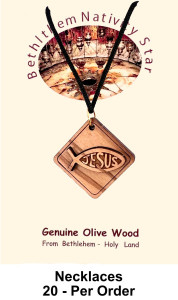 Ichthus JESUS Pendant 1 Inch Bulk Price [Necklaces9A]